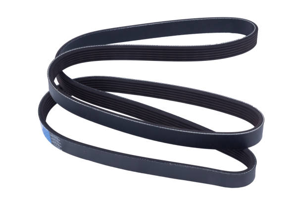 New black rubber circle toothed automotive timing belt isolated on white background without shadow